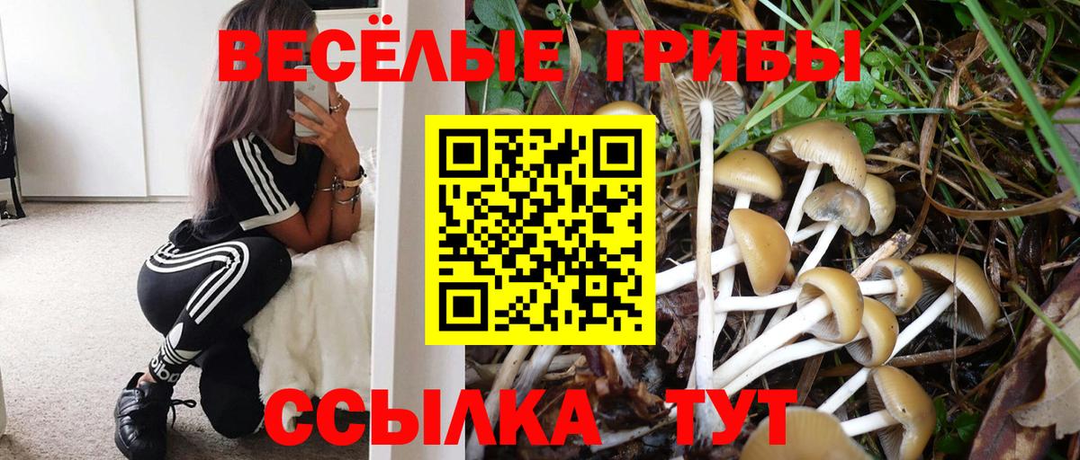 Галлюциногенные грибы мухоморы  Вход с VPN  даркнет сайт  Кинешма 